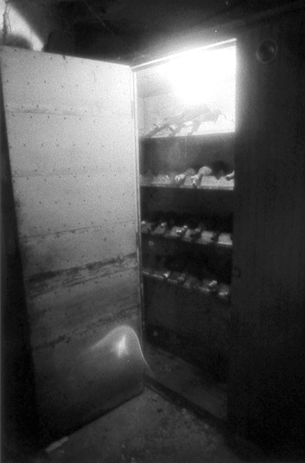ORBS: Pictured are filmy white orbs captured by Cyril Place (a friend of Bell) taken with an infrared camera in the wine cellar of the Sprague Mansion.
