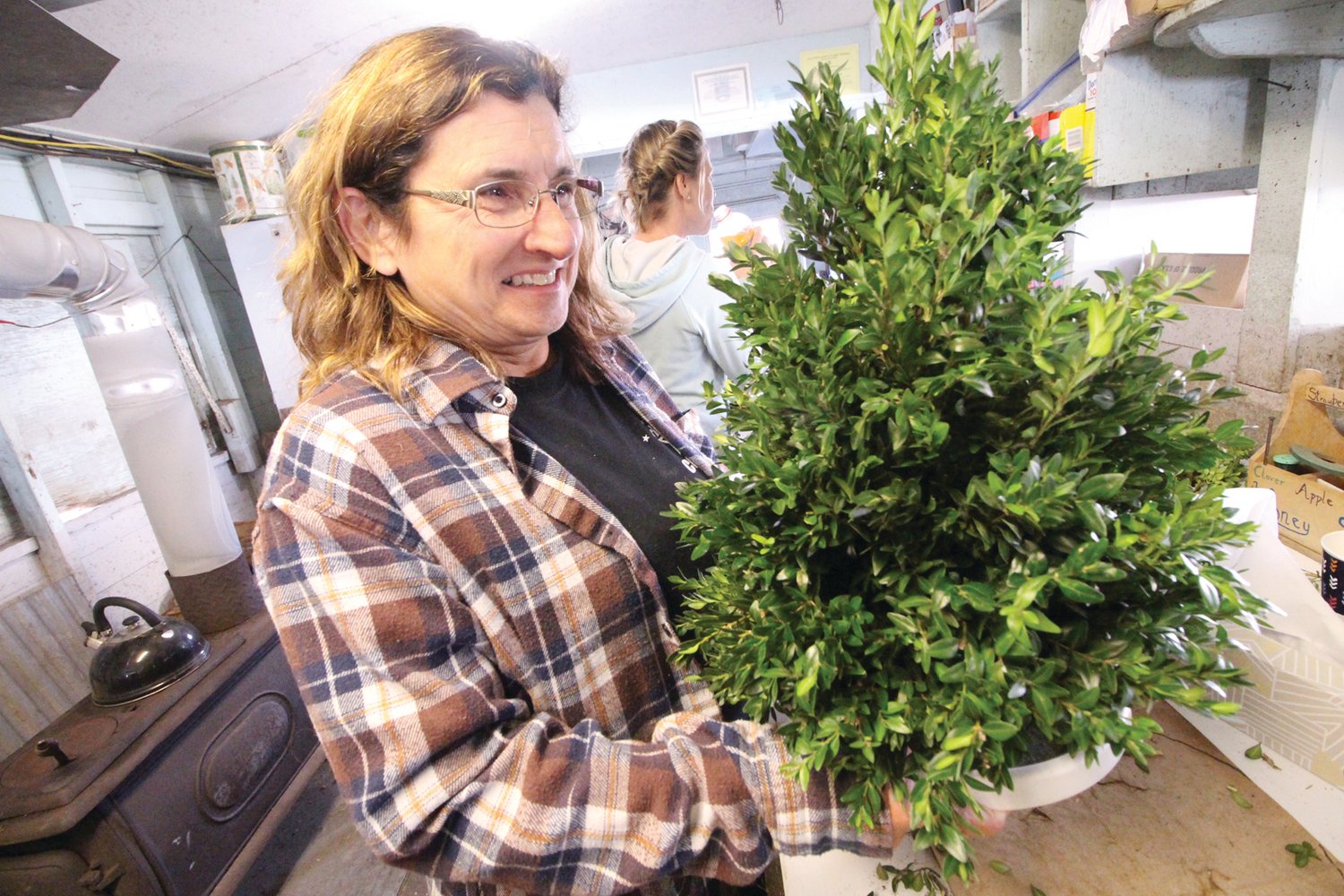 MAKING THE PERFECT TREE: Rose Paquarelli puts the finishing touches to a tabletop tree made from boxwood clippings at Morris Farm in Warwick.