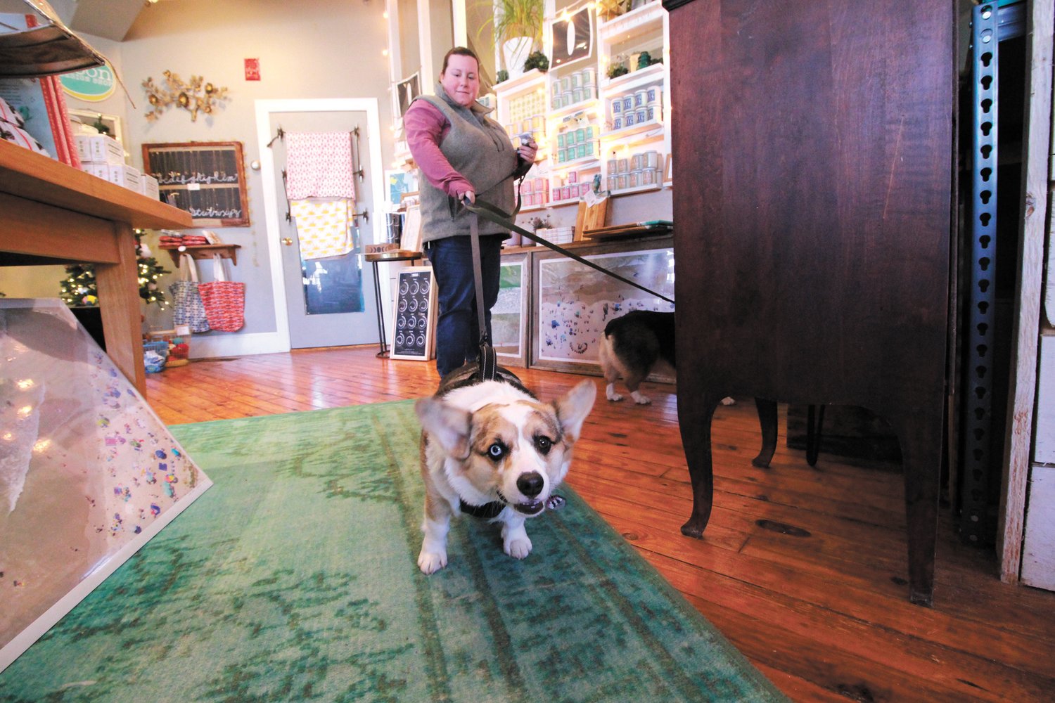 SHOPPING COMPANIONS: Corgis Oliver and Fig accompany their master Andrea Leonardo as she does her Christmas shopping at Noons on the Warwick side of the bridge in Pawtuxet. (Warwick Beacon photos)