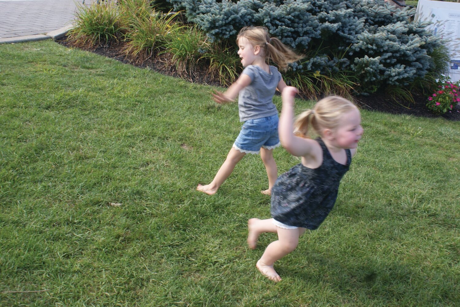 Dancing TO THE MUSIC: Harleigh Wyma, three years old (left), and friend Greta Kane, two years old, enjoy themselves and dance to the music on the grass by the gazebo.